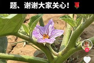 体坛：4月15日的发薪日，泰山队员们正常收到了全额上月工资